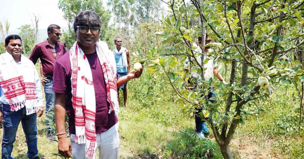 रायपुर: जशपुर बना फलोत्पादन का नया हब, सेब-नाशपाती की खेती से किसानों की आय में बड़ा इजाफा