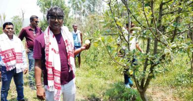 रायपुर: जशपुर बना फलोत्पादन का नया हब, सेब-नाशपाती की खेती से किसानों की आय में बड़ा इजाफा