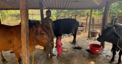 Success Story: पशुपालन ने बदली किसान प्यारेलाल यादव की जिंदगी, डेयरी व्यवसाय से सालाना 1.5 लाख की आय  