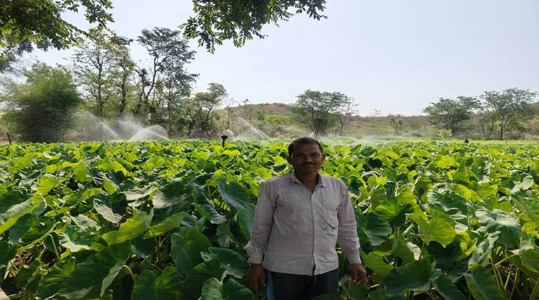 पानी की बचत से बढ़ा मुनाफा! स्प्रिंकलर सिंचाई तकनीक से किसान की आय में 20-30% का इजाफा  