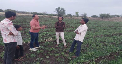 ग्रीष्मकालीन खेती बनी गेम चेंजर: तिल-उड़द की खेती से किसानों को 913 लाख का अतिरिक्त लाभ, जानें पूरा मॉडल