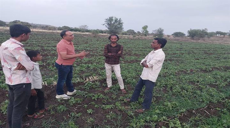 ग्रीष्मकालीन खेती बनी गेम चेंजर: तिल-उड़द की खेती से किसानों को 913 लाख का अतिरिक्त लाभ, जानें पूरा मॉडल