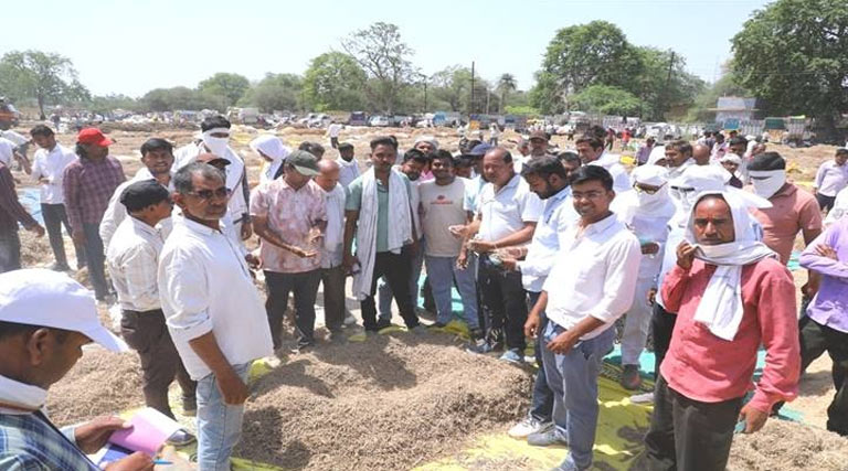 औषधि और मसाला फसलों का बड़ा केंद्र बनी नीमच मंडी, देशभर से आते हैं किसान; 65+ फसलों की होती है नीलामी