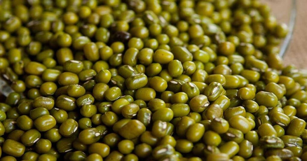 ग्रीष्मकालीन फसल मूंग और उड़द के पंजीयन 25 मई से 15 जून तक होंगे