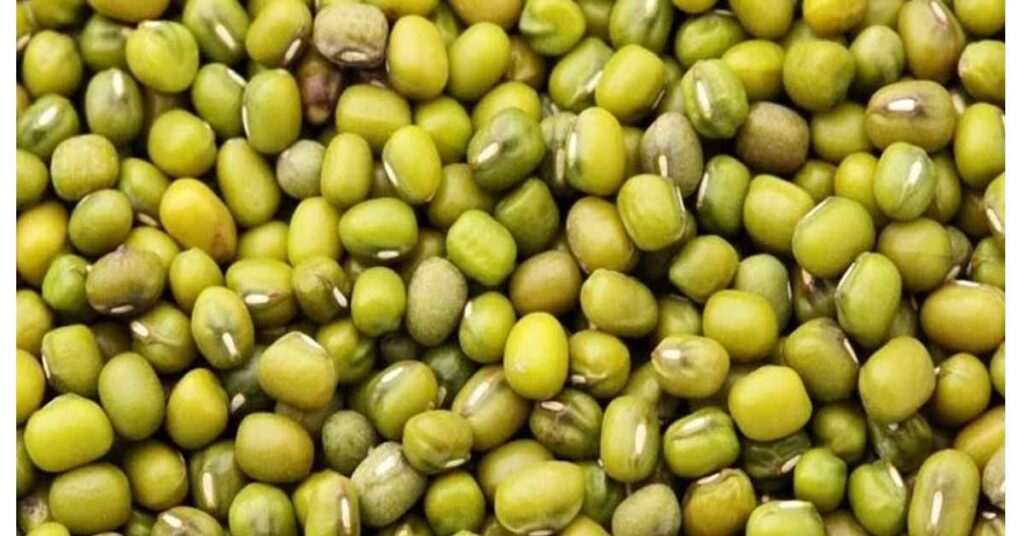 रायसेन: ग्रीष्मकालीन फसल मूंग उपार्जन हेतु 25 मई से 15 जून तक होंगे पंजीयन