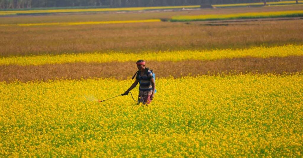 किसानों पर बढ़ती लागत की जताई आशंका, पीएमएफएआई ने पेस्टिसाइड मैनेजमेंट बिल में डेटा प्रोटेक्शन प्रावधान का किया विरोध