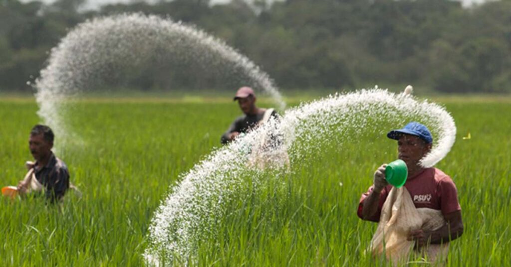 सिंगल सुपर फास्फेट उर्वरकों में प्रति बोरी 100 रु का इजाफा