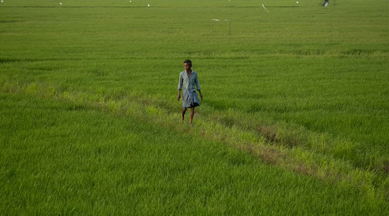मध्यप्रदेश: किसानों के लिए सुनहरा मौका, आत्मा परियोजना के तहत मिलेगा 50 हजार तक का पुरस्कार