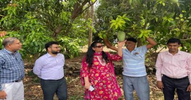 आलीराजपुर कलेक्टर ने ऑर्गेनिक आम उत्पादक किसानों के फार्मों का किया भ्रमण