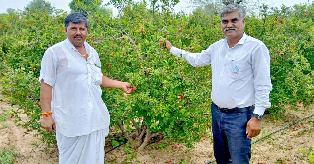 खेत से सालाना 50 हजार की आय से 1.68 करोड़ तक का सफर