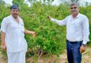 खेत से सालाना 50 हजार की आय से 1.68 करोड़ तक का सफर