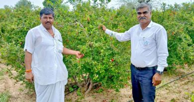 खेत से सालाना 50 हजार की आय से 1.68 करोड़ तक का सफर