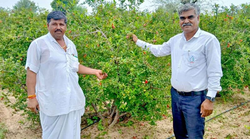 खेत से सालाना 50 हजार की आय से 1.68 करोड़ तक का सफर