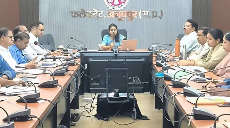 कृषि एवं उद्यानिकी फसलों के रकबे में वृद्धि  के प्रयास करें - सीईओ अनूपपुर