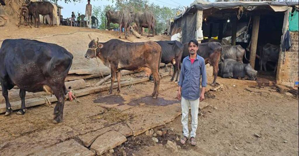 विदिशा: लखपत यादव के पशुपालन ने लिया लाभकारी उद्यम का रूप