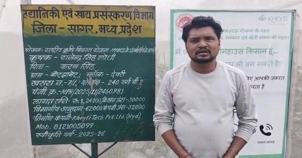 सागर: नेट हाउस में इंग्लिश खीरा उत्पादन से मिली बेहतर आय