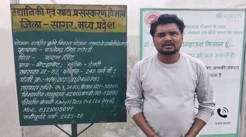 सागर: नेट हाउस में इंग्लिश खीरा उत्पादन से मिली बेहतर आय