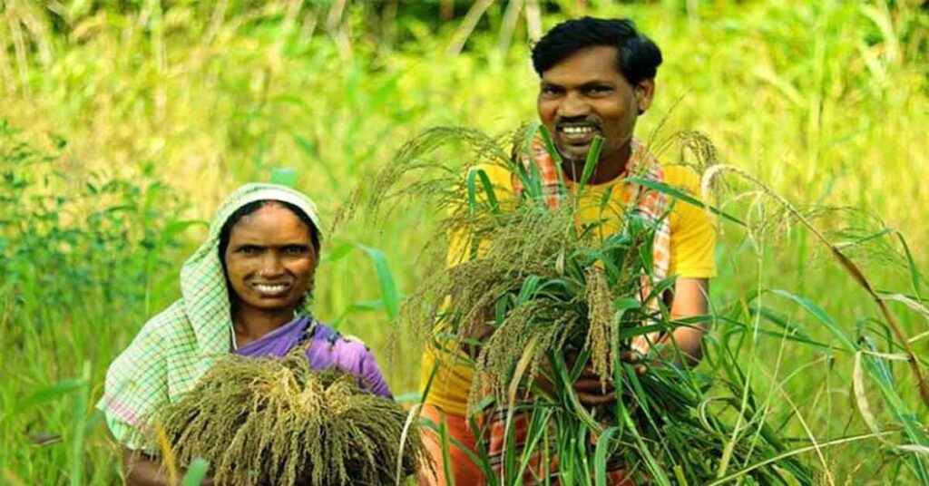दतिया: सर्वोत्तम कृषक पुरस्कार के लिए आवेदन 12 जून तक आमंत्रित