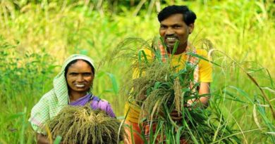 दतिया: सर्वोत्तम कृषक पुरस्कार के लिए आवेदन 12 जून तक आमंत्रित