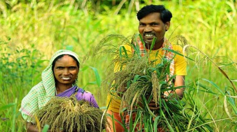 दतिया: सर्वोत्तम कृषक पुरस्कार के लिए आवेदन 12 जून तक आमंत्रित