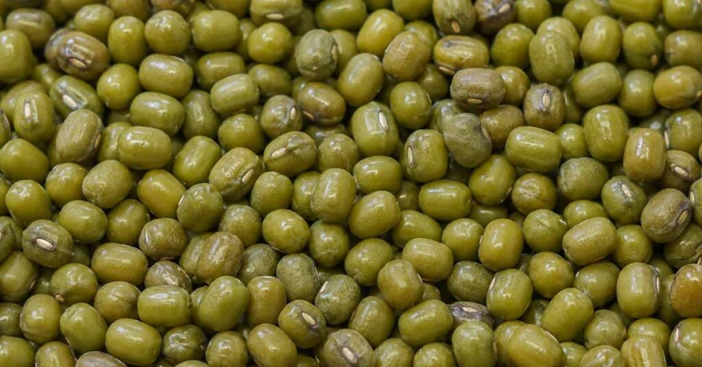 बड़वानी: समर्थन मूल्य पर ग्रीष्मकालीन मूंग पंजीयन 15 जून तक