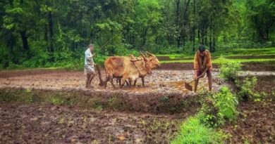 चित्तौड़गढ़ में प्राकृतिक खेती पर जिला स्तरीय कार्यशाला, किसानों को मिलेंगे उन्नत खेती के गुर