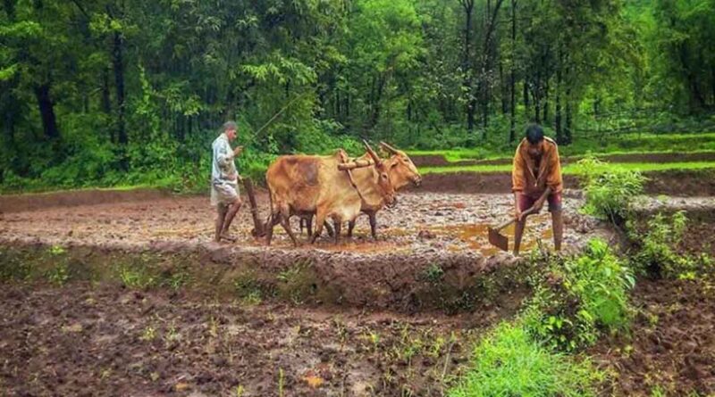 चित्तौड़गढ़ में प्राकृतिक खेती पर जिला स्तरीय कार्यशाला, किसानों को मिलेंगे उन्नत खेती के गुर