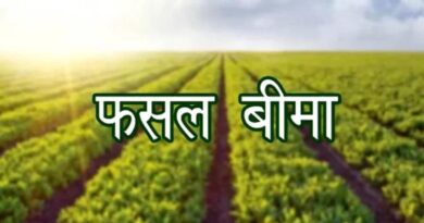 रायपुर: PM फसल बीमा योजना बनी किसानों का सुरक्षा कवच, 60 हजार किसानों को 21.70 करोड़ रुपये की राहत