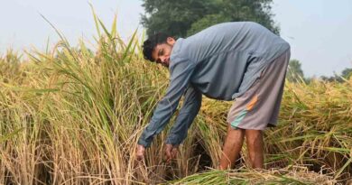 भारतीय कृषि में सुधार क्यों नहीं हो पाते?