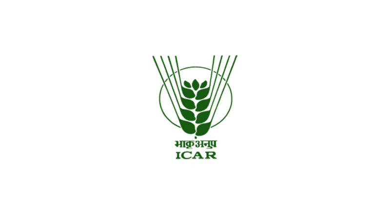 ICAR ने लॉन्च किया ‘ऑयलसीड्स किसान मित्र’: WhatsApp पर 24 घंटे मिलेगी तिलहन फसलों की मुफ्त सलाह