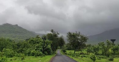 मौसम बदलने वाला है! किसानों के लिए कृषि विज्ञान केंद्र की बड़ी सलाह, जानें क्या करें और क्या नहीं