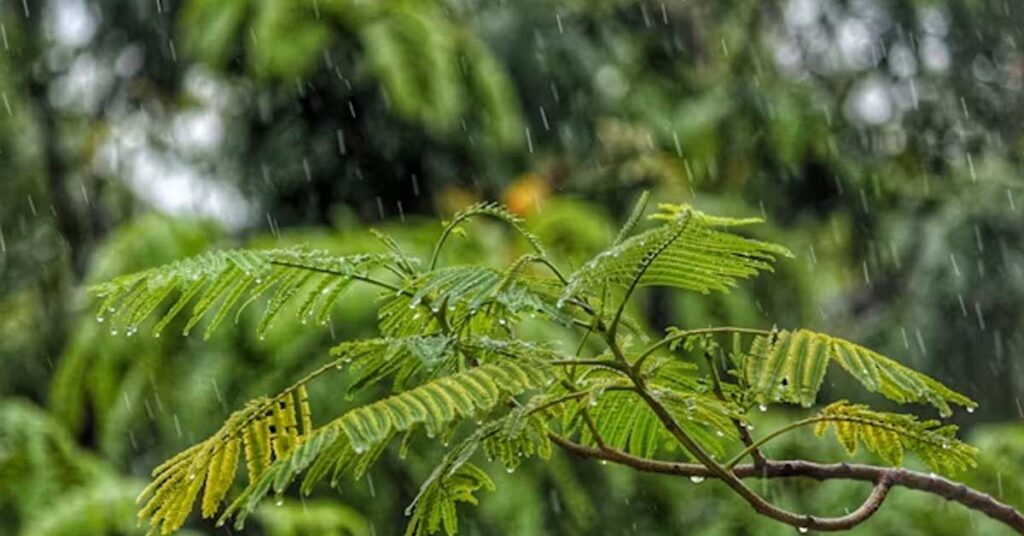 IMD Weather Alert: देशभर में बदला मौसम, दिल्ली में तेज आंधी-तूफान, MP-राजस्थान समेत कई राज्यों में बारिश का ऑरेंज अलर्ट जारी