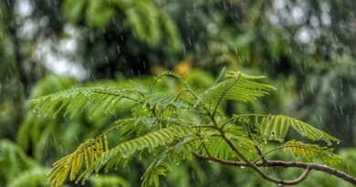 IMD Weather Alert: देशभर में बदला मौसम, दिल्ली में तेज आंधी-तूफान, MP-राजस्थान समेत कई राज्यों में बारिश का ऑरेंज अलर्ट जारी
