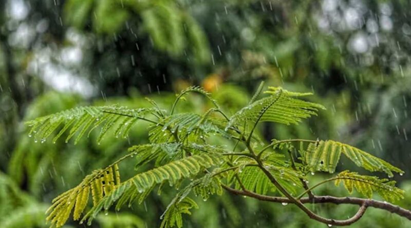 IMD Weather Alert: देशभर में बदला मौसम, दिल्ली में तेज आंधी-तूफान, MP-राजस्थान समेत कई राज्यों में बारिश का ऑरेंज अलर्ट जारी