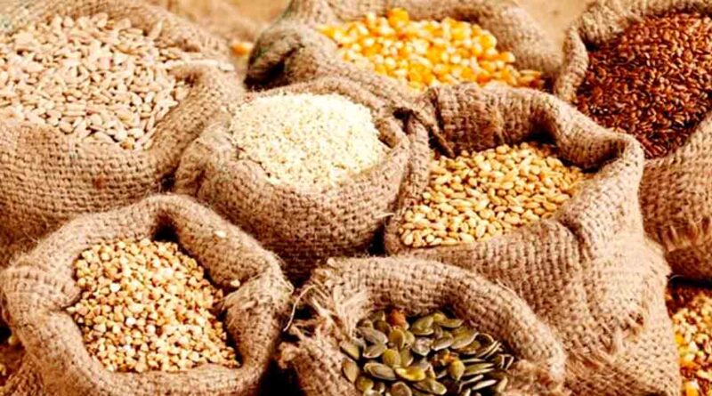 रायपुर: बीज उत्पादन कार्यक्रम के लिए 19 से 24 जून तक होगा फसल पंजीयन, किसान दस्तावेज रखें तैयार