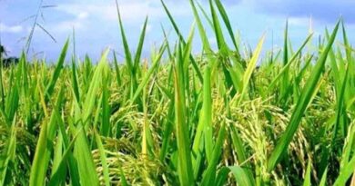 खरीफ 2026: कृषि विभाग ने तय की उर्वरकों की नई दरें, अधिक कीमत वसूलने पर होगी सख्त कार्रवाई