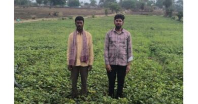 मध्यप्रदेश: सिरोंज में मूंग फसल में अफलन की शिकायत, कारणों की जांच के लिए खेतों में पहुंचेगी वैज्ञानिकों की टीम  