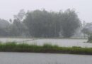 IMD Forecast: राजस्थान में सबसे ज्यादा गर्मी, उत्तर भारत में आंधी-बारिश का अलर्ट; जानें देशभर का मौसम