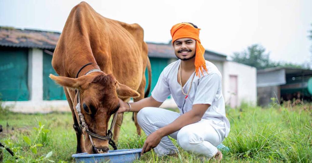 हरदा: पशुपालन क्षेत्र में डिजिटल क्रांति, ‘गोरस मोबाइल ऐप’ विकसित किया