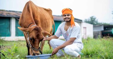 हरदा: पशुपालन क्षेत्र में डिजिटल क्रांति, ‘गोरस मोबाइल ऐप’ विकसित किया