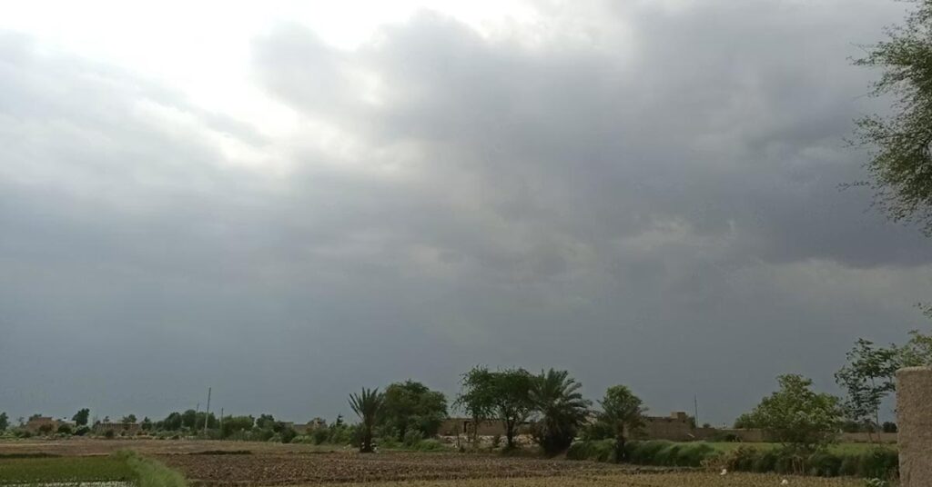 मध्यप्रदेश में मानसून की आहट, कृषि वैज्ञानिकों ने किसानों को दी बीज-खाद भंडारण और खरीफ फसलों के चयन की सलाह