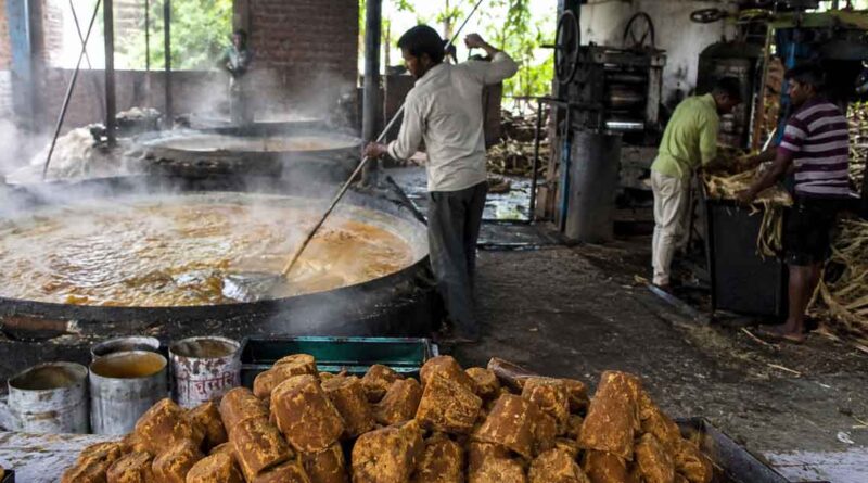 बिहार में गुड़ फैक्ट्री लगाने का सुनहरा मौका, 1 करोड़ रुपये तक मिलेगी सब्सिडी; ऐसे करें आवेदन