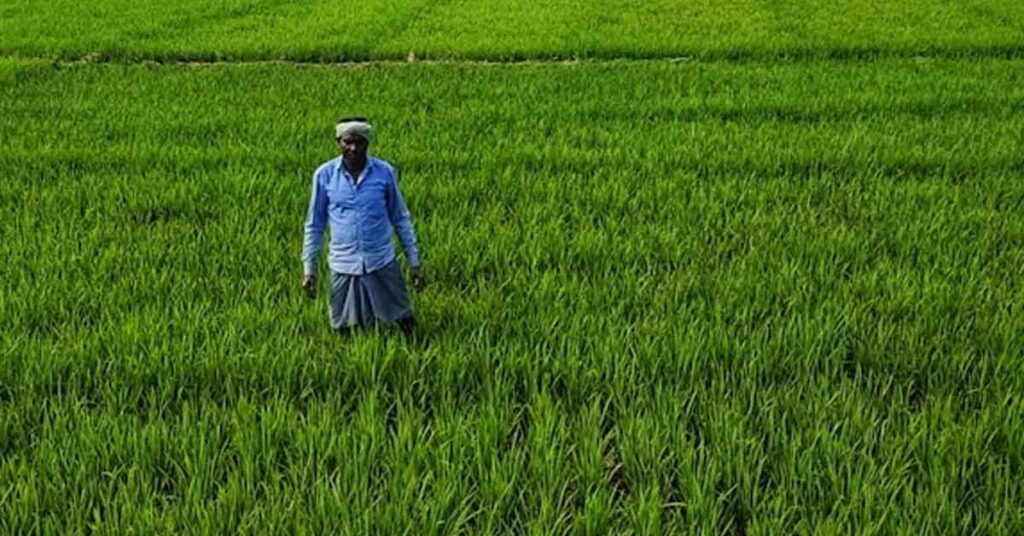 छिंदवाड़ा: प्रधानमंत्री किसान सम्मान निधि योजना की 23वीं किस्त का वितरण 20 जून को