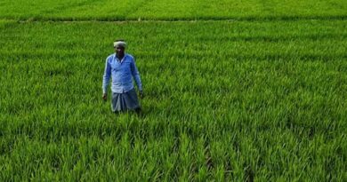 छिंदवाड़ा: प्रधानमंत्री किसान सम्मान निधि योजना की 23वीं किस्त का वितरण 20 जून को