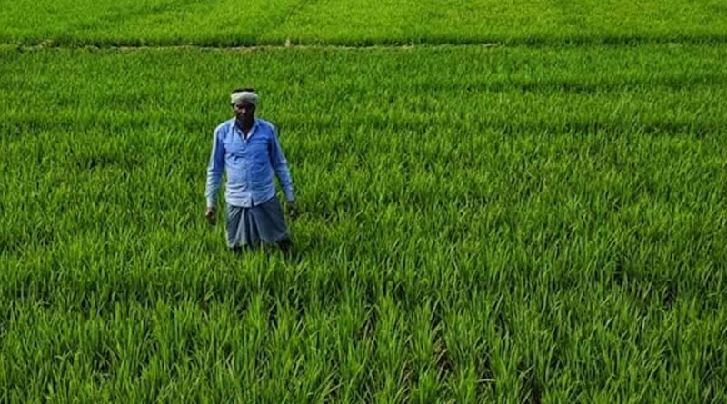 छिंदवाड़ा: प्रधानमंत्री किसान सम्मान निधि योजना की 23वीं किस्त का वितरण 20 जून को