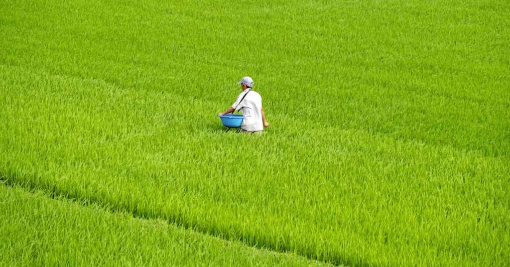 कृषि विभाग में 61 सहायक संचालक एवं 31 एस ए डी ओ बदले