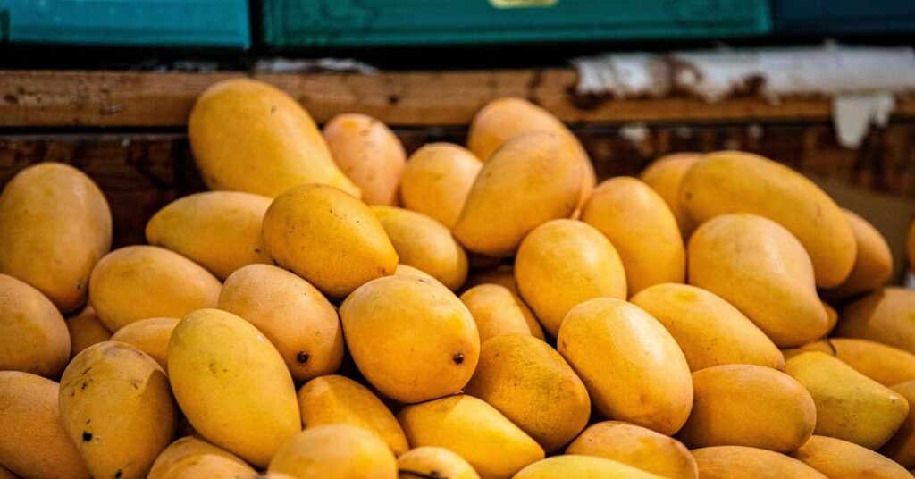 2025-26 में देश का बागवानी उत्पादन 3777 लाख टन पहुंचने का अनुमान