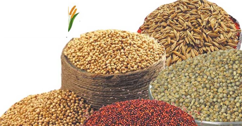 जबलपुर में मिलेट्स खेती को बढ़ावा, 250 किसानों को निःशुल्क बांटे गए कोदो, कुटकी और रागी के बीज