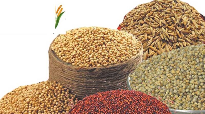 जबलपुर में मिलेट्स खेती को बढ़ावा, 250 किसानों को निःशुल्क बांटे गए कोदो, कुटकी और रागी के बीज