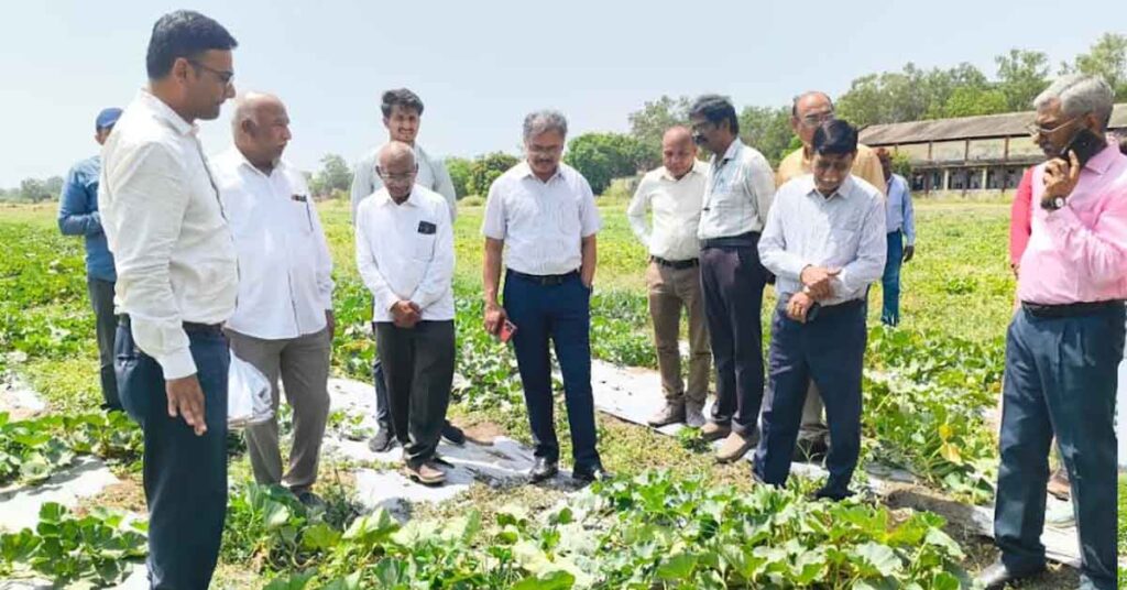 उन्नत हाइब्रिड बीज उत्पादन तकनीकों का अवलोकन करने जेएनकेवीवी पहुँचे एपीसी अशोक वर्णवाल